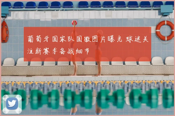 葡萄牙国家队国徽图片曝光 球迷关注新赛季备战细节