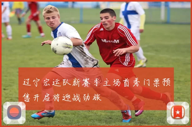 辽宁宏运队新赛季主场首秀门票预售开启将迎战劲旅