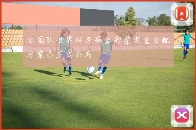法国队世界杯夺冠后彩票奖金分配方案已正式公布