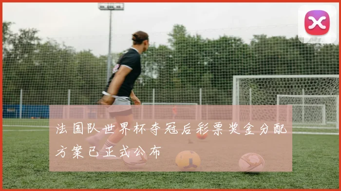 法国队世界杯夺冠后彩票奖金分配方案已正式公布